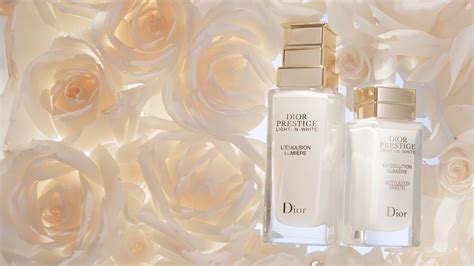 dior y3997002.